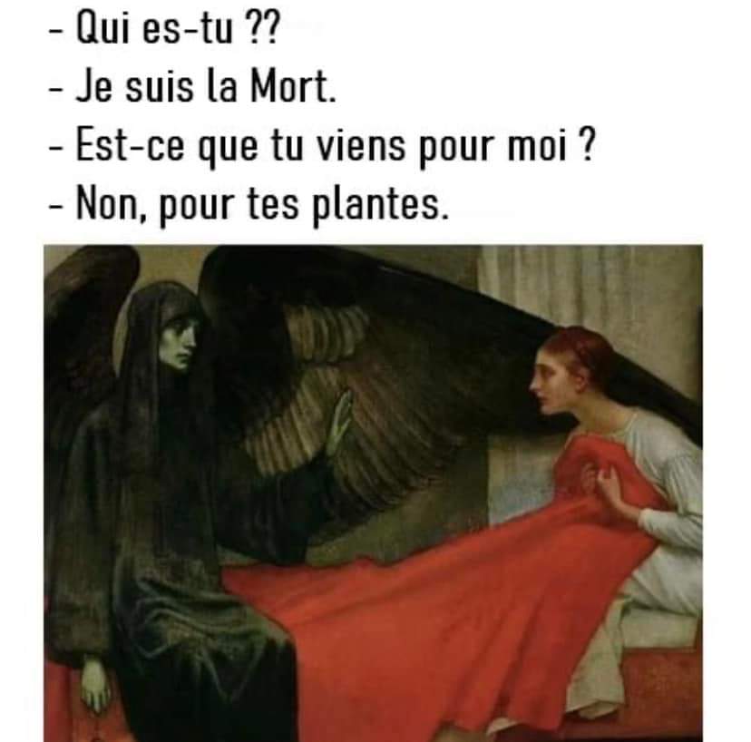 Les meilleurs mèmes au Québec - Drôle et croustillant!